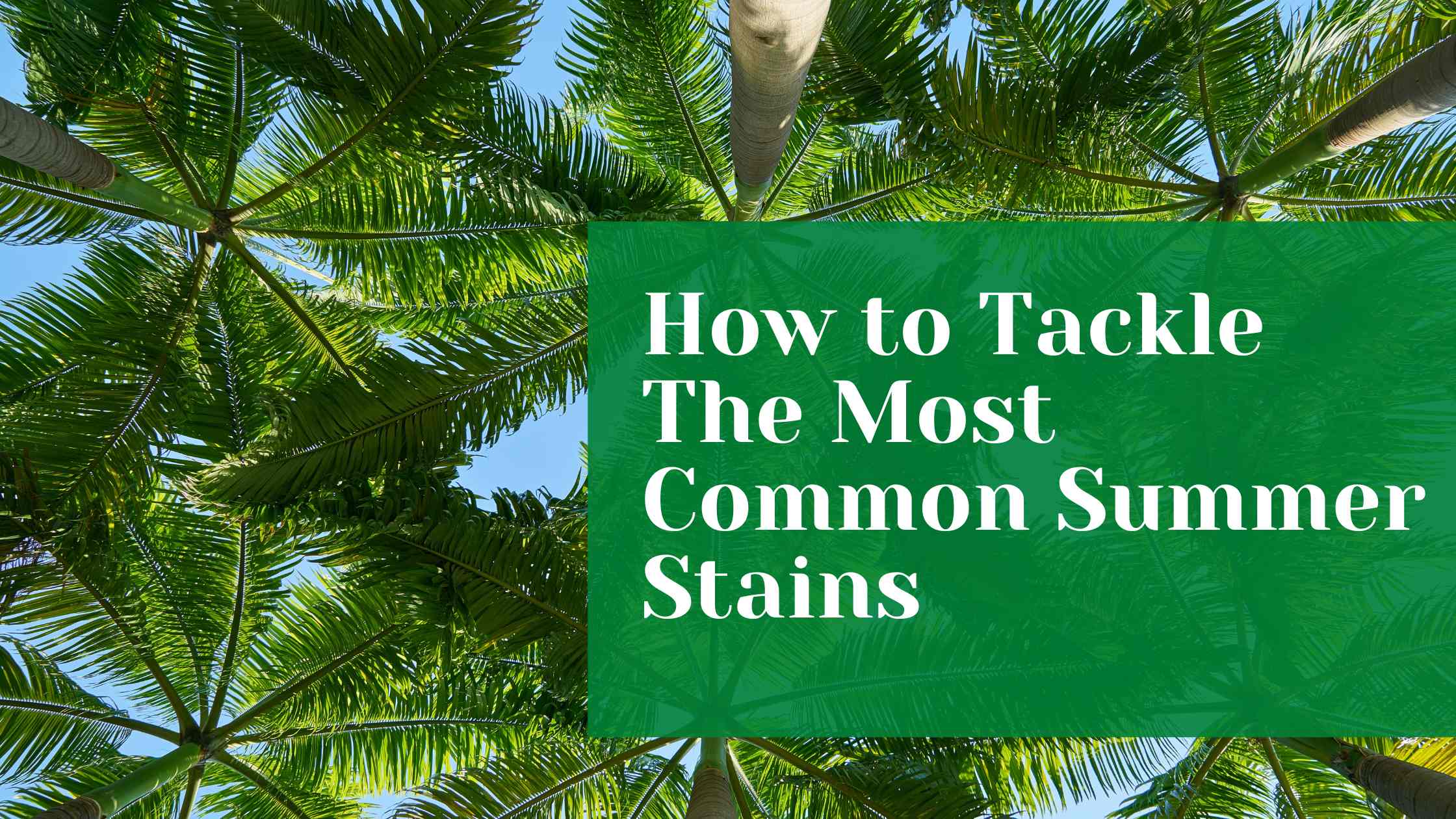 how-to-tackle-the-most-common-summer-stains-gibsons-cleaners