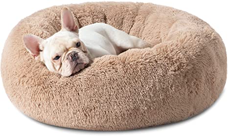 Dog bed hot sale cleaning service