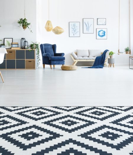 Modern, white apartment with brick wall, carpet and decorative plant