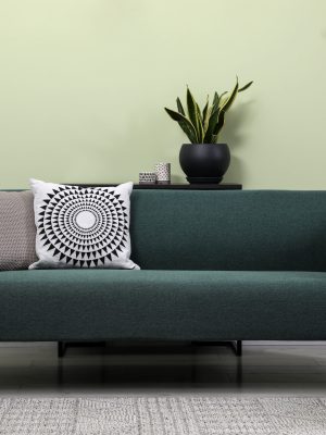 Stylish living room interior with comfortable green sofa and beautiful plants